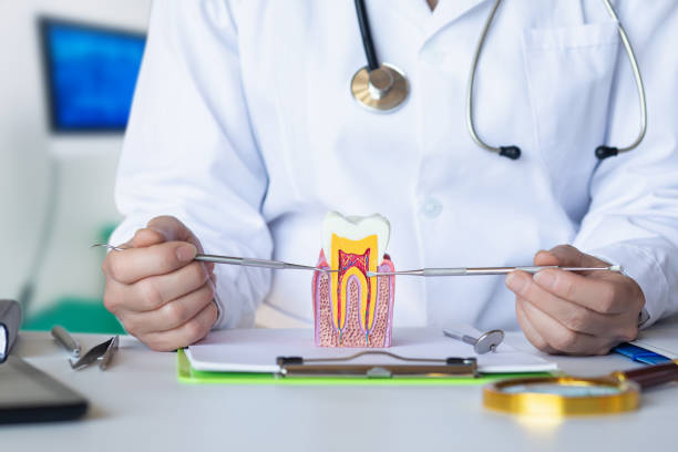Best Cosmetic Emergency Dentistry in Albers, IL